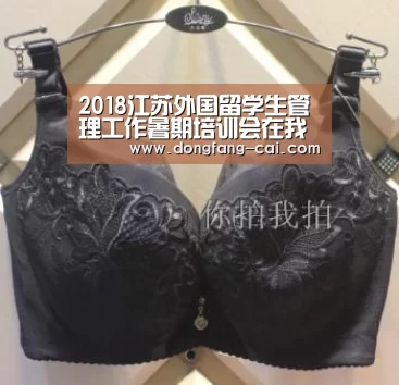2018江苏外国留学生管理工作暑期培训会在我校举行-一分彩官网(图4) 一分彩走势分析