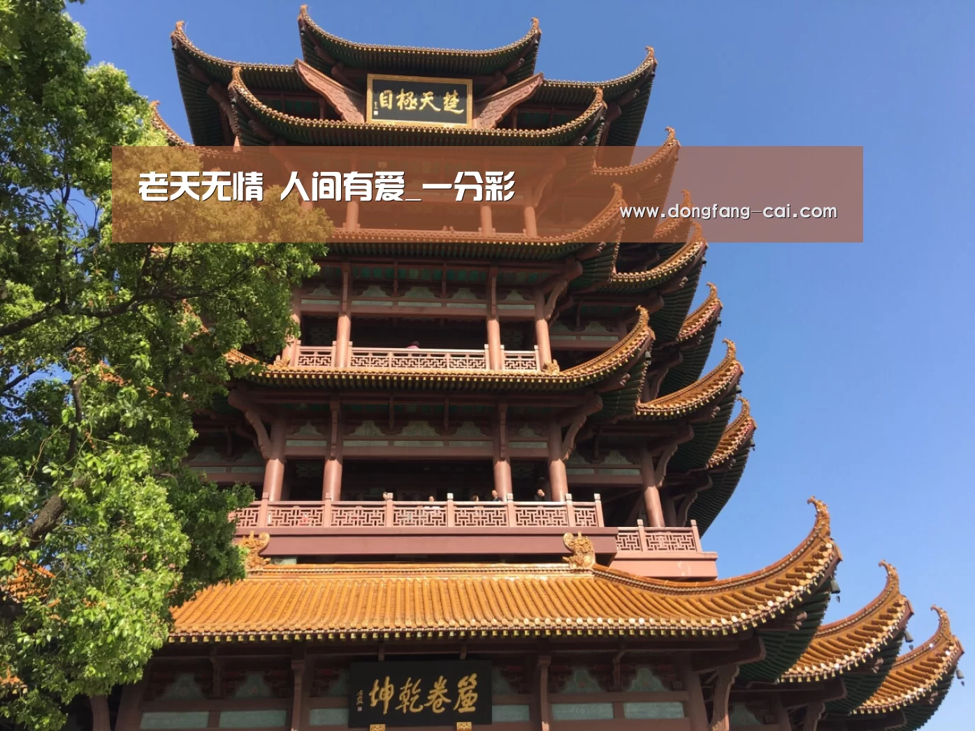 老天无情 人间有爱_一分彩(图1) 一分彩开奖查询