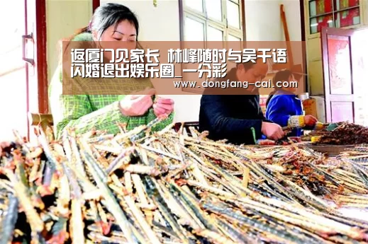 一分彩走势分析