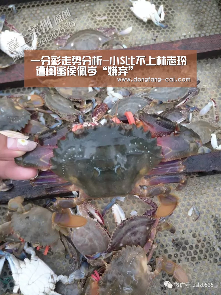 一分彩走势分析-小S比不上林志玲 遭闺蜜侯佩岑“嫌弃”(图3) 一分彩走势分析