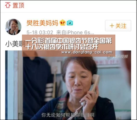 一分彩|首届中国银杏节暨全国第十八次银杏学术研讨会召开(图2) 一分彩官网
