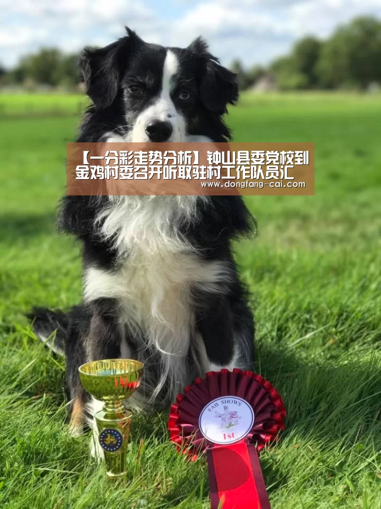 一分彩走势分析