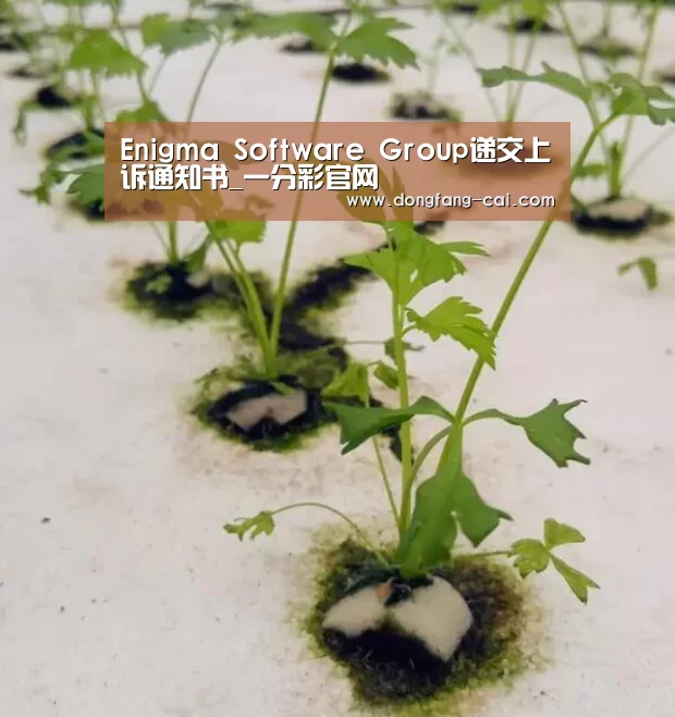 Enigma Software Group递交上诉通知书_一分彩官网(图1) 一分彩