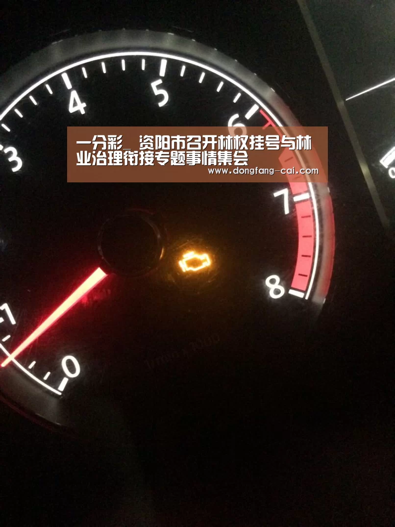 一分彩_
资阳市召开林权挂号与林业治理衔接专题事情集会(图1) 一分彩走势分析
