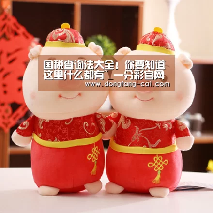 国税查询法大全!你要知道这里什么都有~_一分彩官网(图4) 一分彩官网